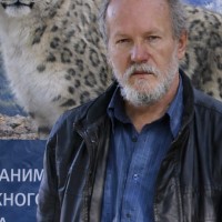 Репетитор Олег Логинов - BUKI