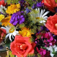 Кирилл Болотников  репетитор  по математике онлайн