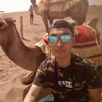 Репетитор Сайдам Колесов - BUKI