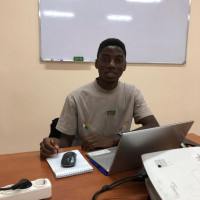 Репетитор Adinoyi Stephen - BUKI