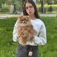 Анастасия рахманова id: 227975